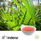 Sabalselect® (Saw Palmetto Extract) by Indena