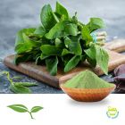 Sage Leaf (Rubbed) by American Botanicals