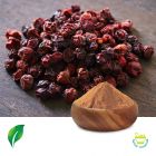 Schisandra P.E.16% Schisandra Acid by Sunnycare