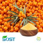 Sea Buckthorn Juice Powder