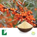 Sea Buckthorn Extract 5:1