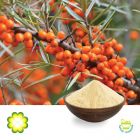 Sea Buckthorn Berry P.E. 5% Flavone by Rainbow