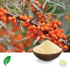Sea Buckthorn Extract 10:1