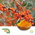 Sea Buckthorn Fruit Powder (Freeze-Dried) by Joywin