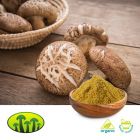 Organic Shiitake Extract 8:1 by Biosan