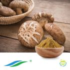 Shiitake Mushroom Extract by Hunan NutraMax
