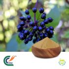 Siberian Ginseng Extract (Eleuthero Root Extract) 4:1 by TRG