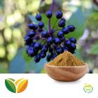 Siberian Ginseng Extract 0.8% Eleutherosides by Tianhua Pharmaceutical