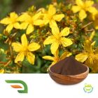 St. John's Wort Extract 0.3% Hypericin by Joywin