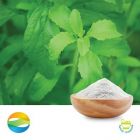 Stevia P.E. 95% (RA 80%) by CCGB