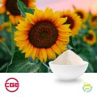 Sunflower oil Powder (Starch) by CGE Healthcare