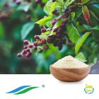 Sweet Blackberry Leaves Extract 70%-95% HPLC by Hunan NutraMax