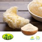 Organic Tremella Fuciformis Extract 8:1