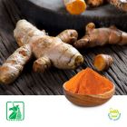 Turmeric P.E. 95% (100% Natural) by Unicorn