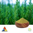 Ursolic Acid 35% Powder