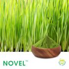 Wheat Grass Powder