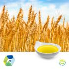 Wheat Germ Oil by Hebei Jiafeng Plant Oils