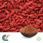 Wolfberry P.E. 50% Polysaccharides (cGMP)