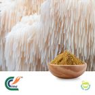 Lion's Mane Mushroom Extract 50% Polysaccharides by TRG