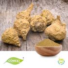 Maca Root Extract 10:1 by Comext