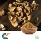 Maitake Mushroom Extract 50% Polysaccharides by TRG