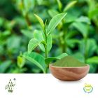 Matcha Powder by Qimei