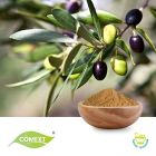 Olive Leaf Extract 20% Oleuropein by Comext
