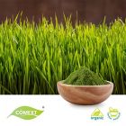 Organic Barley Grass Powder by Comext