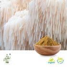 Organic   LION'S MANE MUSHROOM POWDER (Hericium erinaceus) by Qimei