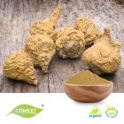 Organic Maca Extract 10:1 by Comext