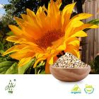 Organic Sunflower Seed Kernel by Qimei