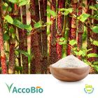 Polygonum Cuspidatum Extract 98% Resveratrol by AccoBio