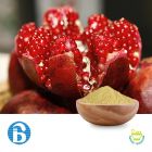 Pomegranate Extract 90% Ellagic Acid by BannerBio