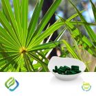 Saw Palmetto Extract Softgel by FocusFreda