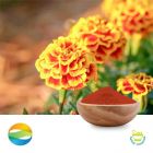 Zeaxanthin 5% HPLC by CCGB
