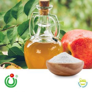 8% Apple Cider Vinegar Powder with Mother by Lvjie