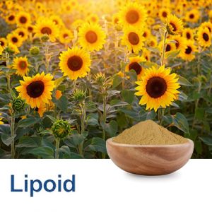 Fat Free Sunflower Lecithin (Non-GMO) with 60% Phosphatidylcholine by Lipoid