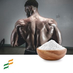 BCAA Instant 2:1:1 (Vegan, Sunflower Lecithin) by Fufeng 
