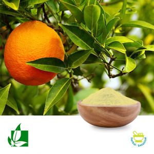 Apigenin 98% by Shaanxi Green Bio-Engineering