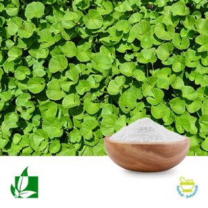 Asiaticoside 40% by Shaanxi Green Bio-Engineering