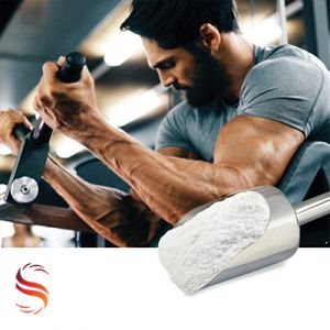 BCAA Instant 2:1:1 (Reg, Sunflower Lecithin) by Shine Star