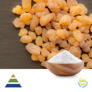 Boswellia Extract Boswellic Acid 65% by KS Nutripharma