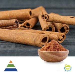 Cinnamon Extract 10:1 by KS Nutripharma