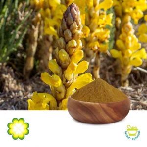 Cistanche Tubulosa Extract 10% Total Glycosides by Rainbow