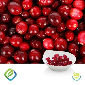 Cranberry Softgel by FocusFreda
