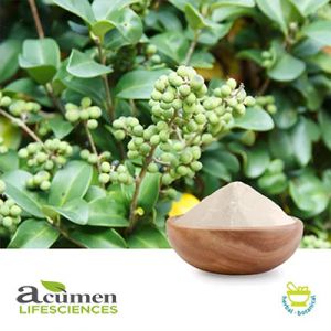 Guggul Extract 2.5% Guggulsterones UV by Acumen Lifesciences