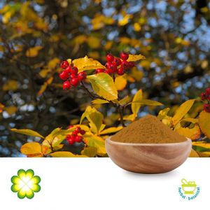 Hawthorn Leaf Extract 2% Vitexin-2-O-rhamnoside by Rainbow