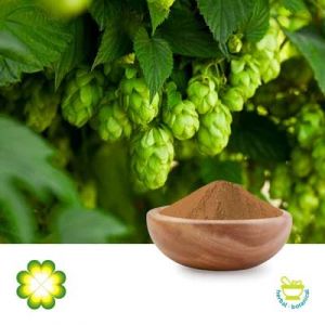 Hops Extract 0.1% 8-prenylnaringenin (8PN) by Rainbow