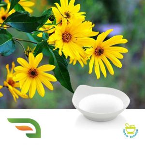 Jerusalem Artichoke Concentrate Syrup by Joywin