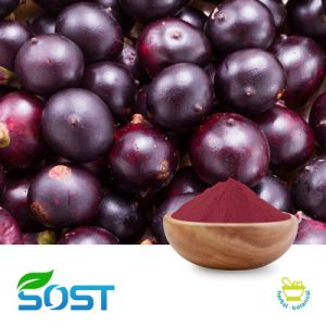 Acai Powder by SOST